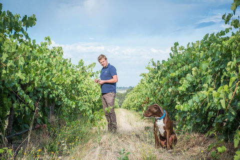 The Ultimate Shottesbrooke Wine & Food Experience - Accommodation Sunshine Coast 7
