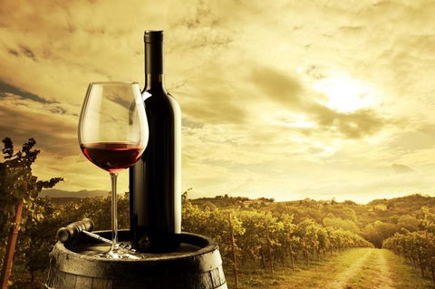 McLaren Vale Luxury Wine Tour - Accommodation Sunshine Coast 1