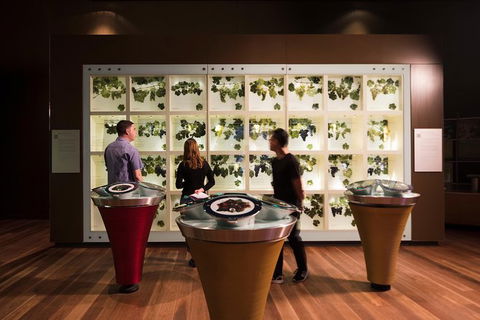 Australian Wine Discovery Tour Ticket - Accommodation Sunshine Coast 5