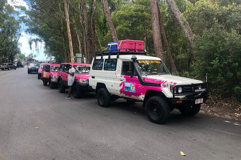 2-Day Fraser Island 4WD Tag-Along Tour At Beach House From Hervey Bay - Accommodation Sunshine Coast 6