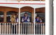 Brisbane River Lunchtime Cruise - thumb 2