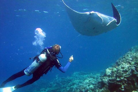 3 Day Whitsundays Sailing And Diving Adventure: Kiana - Accommodation Sunshine Coast 9