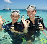 Ocean Spirit Michaelmas Cay Dive and Snorkel Cruise from Palm Cove - Accommodation Sunshine Coast