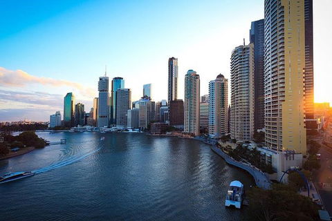 Brisbane City Highlights With Lone Pine! - Accommodation Sunshine Coast 1
