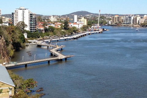 Brisbane City Highlights With Lone Pine! - Accommodation Sunshine Coast 4