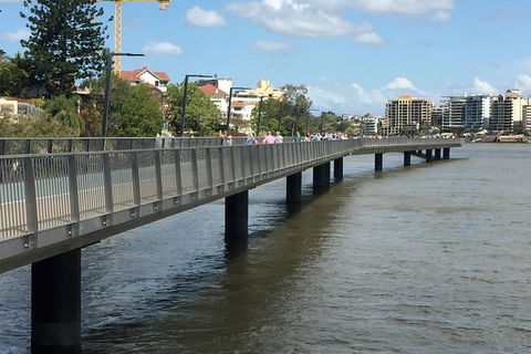 Brisbane City Highlights With Lone Pine! - Accommodation Sunshine Coast 5