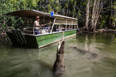 Hartley\'s Crocodile Adventures Day Trip From Palm Cove - Accommodation Sunshine Coast 0