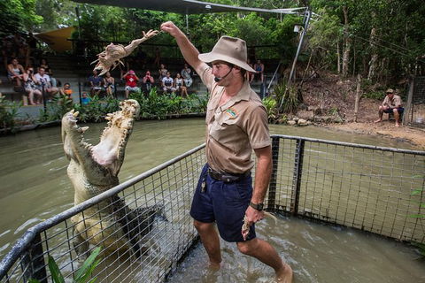 Hartley\'s Crocodile Adventures Day Trip From Palm Cove - Accommodation Sunshine Coast 1