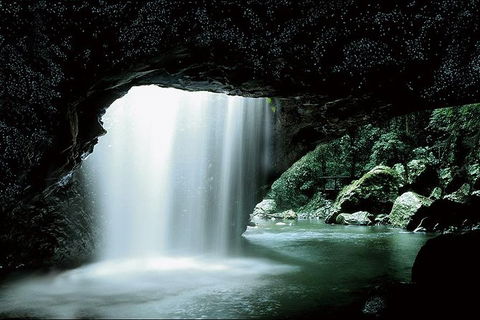Natural Bridge Glow Worm Night Tour From Gold Coast - Accommodation Sunshine Coast 0