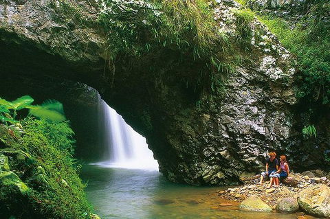 Natural Bridge Glow Worm Night Tour From Gold Coast - Accommodation Sunshine Coast 7