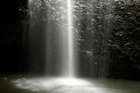 Natural Bridge Glow Worm Night Tour From Gold Coast - Accommodation Sunshine Coast 8