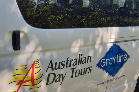 Natural Bridge Glow Worm Night Tour From Gold Coast - Accommodation Sunshine Coast 9