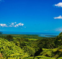 Cape Tribulation Day Tour - Accommodation Sunshine Coast