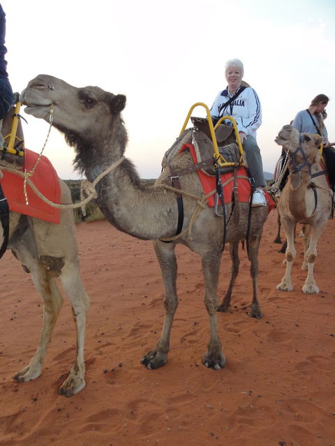 Uluru Small-Group Tour By Camel At Sunrise Or Sunset - Accommodation Sunshine Coast 2
