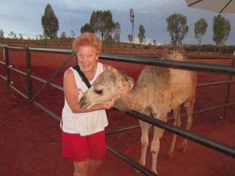 Uluru Small-Group Tour By Camel At Sunrise Or Sunset - Accommodation Sunshine Coast 18