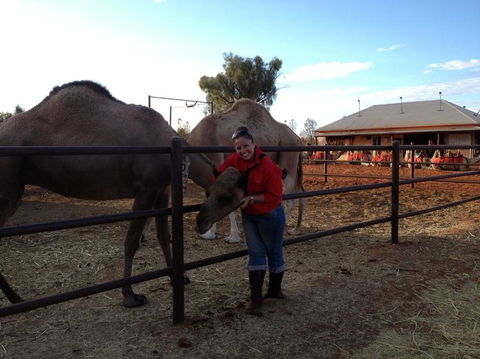 Uluru Small-Group Tour By Camel At Sunrise Or Sunset - Accommodation Sunshine Coast 21