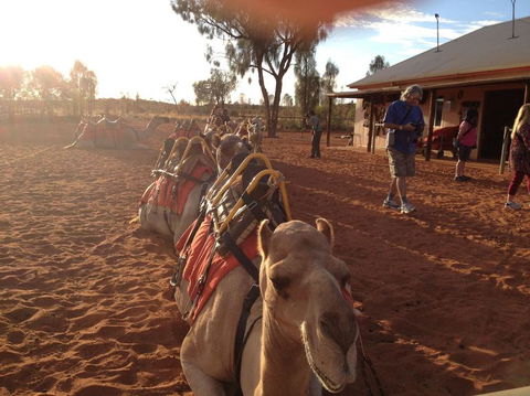 Uluru Small-Group Tour By Camel At Sunrise Or Sunset - Accommodation Sunshine Coast 22