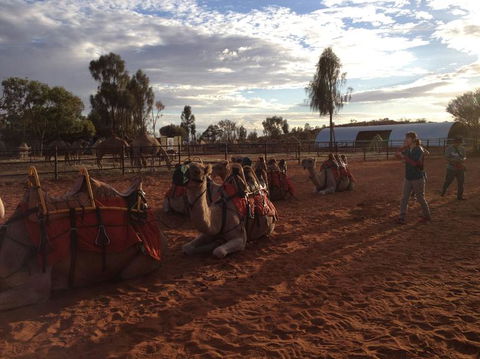 Uluru Small-Group Tour By Camel At Sunrise Or Sunset - Accommodation Sunshine Coast 23