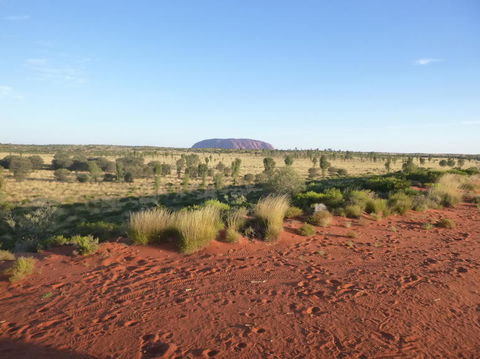 Uluru Small-Group Tour By Camel At Sunrise Or Sunset - Accommodation Sunshine Coast 9