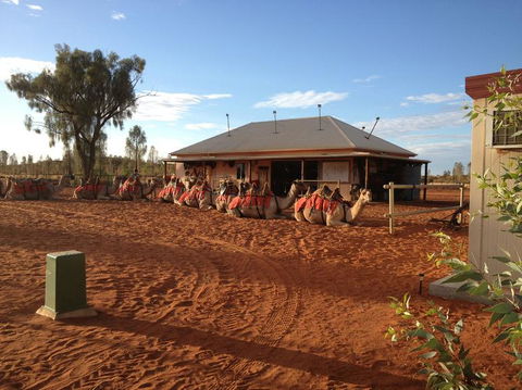 Uluru Small-Group Tour By Camel At Sunrise Or Sunset - Accommodation Sunshine Coast 19