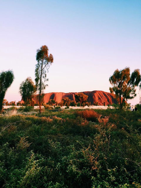Uluru & Kata Tjuta Sights & Sounds - Accommodation Sunshine Coast 3