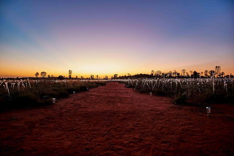 Uluru & Kata Tjuta Sights & Sounds - Accommodation Sunshine Coast 16