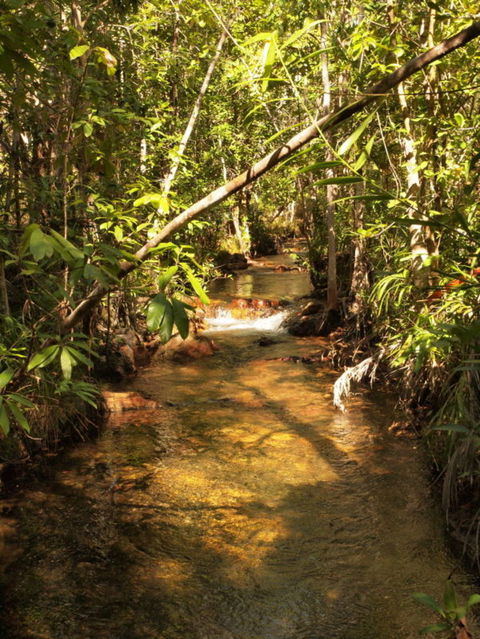 Katherine Day Tour From Darwin Including Katherine Gorge Cruise - Accommodation Sunshine Coast 10