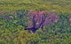 Litchfield Park & Daly River - Scenic Flight From Darwin - thumb 9