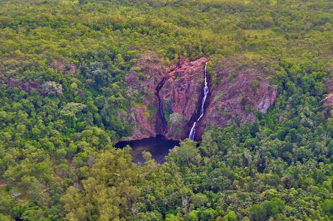 Litchfield Park & Daly River - Scenic Flight From Darwin - Accommodation Sunshine Coast 9