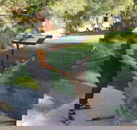 Sydney Private Day Tours - Central Coast Beaches Plus Wildlife  Reptile Park - Accommodation Sunshine Coast