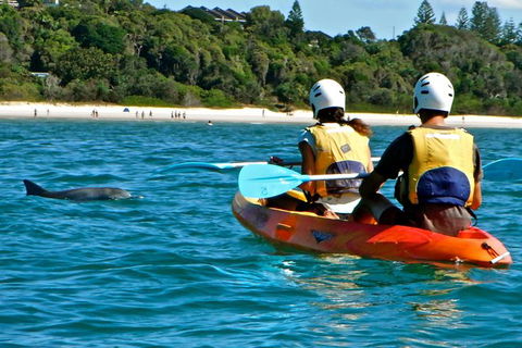 The Byron Bay Sea Kayak Tour - Accommodation Sunshine Coast 1