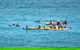The Byron Bay Sea Kayak Tour - thumb 12