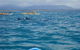 The Byron Bay Sea Kayak Tour - thumb 4