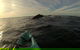 The Byron Bay Sea Kayak Tour - thumb 3