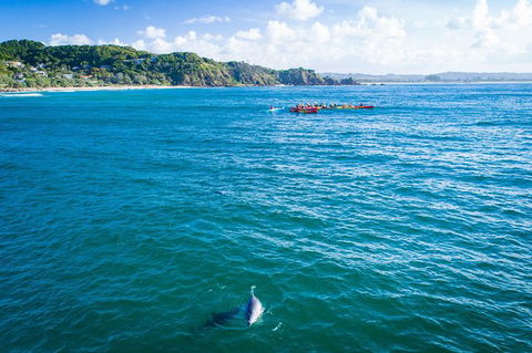 The Byron Bay Sea Kayak Tour - Accommodation Sunshine Coast 8