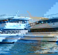 Christmas Day 3 hour Sydney Harbour Lunch Cruise inc. Christmas Buffet and DJ - Accommodation Sunshine Coast