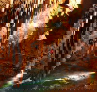 Jenolan Caves and Blue Mountains Tour from Sydney - Accommodation Sunshine Coast