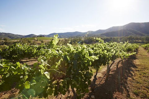 Scenic Hunter Valley Winery Tour With Boutique Wineries & Local Cheese - Accommodation Sunshine Coast 6
