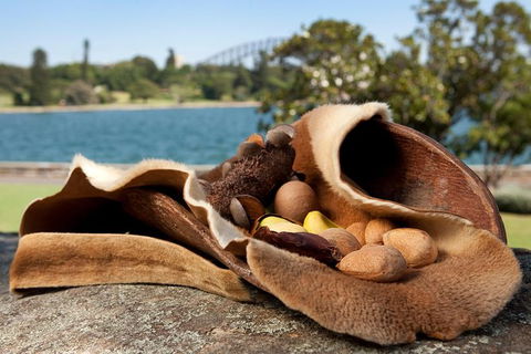 Aboriginal Heritage Tour At The Royal Botanic Garden Sydney - Accommodation Sunshine Coast 7