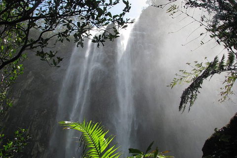 Minyon Falls Rainforest Walk - Accommodation Sunshine Coast 0