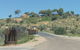 Anzac Hill Memorial - thumb 2