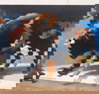 Big Bull Mural