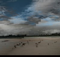 Hardwicke Bay - Accommodation Sunshine Coast