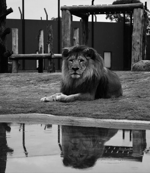 Hunter Valley Zoo - Accommodation Sunshine Coast 0