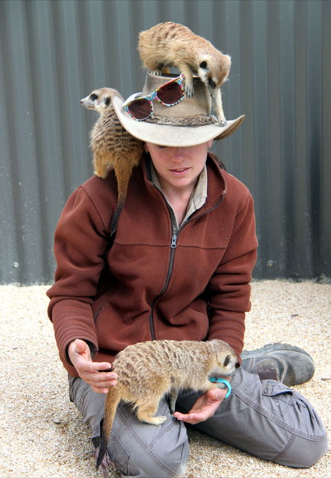 Hunter Valley Zoo - Accommodation Sunshine Coast 2