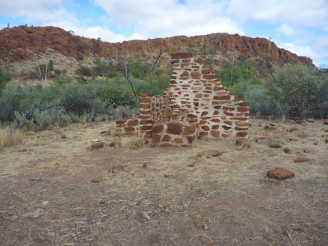 Illamurta Springs Conservation Reserve - Accommodation Sunshine Coast 1