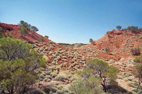 Lark Quarry Conservation Park - Accommodation Sunshine Coast 0