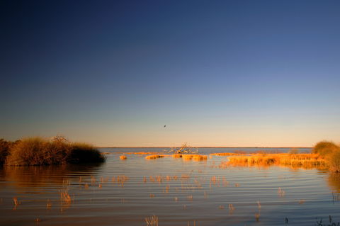 Malkumba-Coongie Lakes National Park - Accommodation Sunshine Coast 0