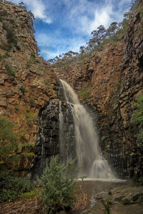 Morialta Conservation Park - Accommodation Sunshine Coast 0