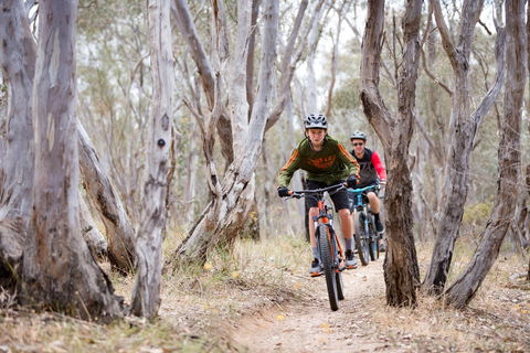 Nail Can Hill - Accommodation Sunshine Coast 1
